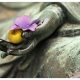 L'impermanenza - Thich Nhat Hanh - Mindfulness Sardegna
