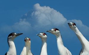 Consulenze Individuali Coppia Familiari - Mindfulness Sardegna